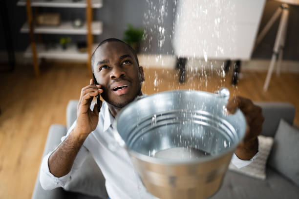 Best Water damage cleanup near me  in Fruitridge Pocket, CA