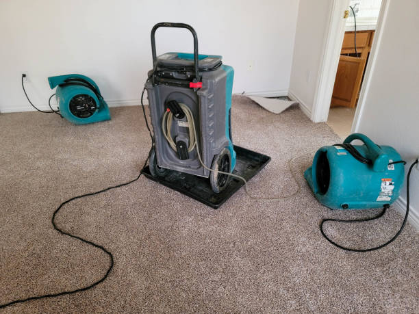  Fruitridge Pocket, CA Water damage restoration Pros