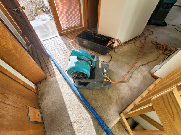 Best Flooded house restoration  in Fruitridge Pocket, CA