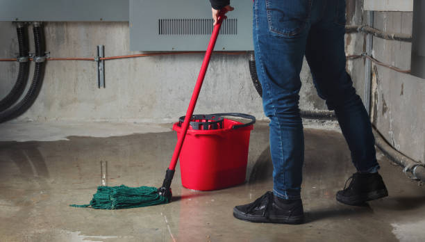Best Emergency water damage restoration  in Fruitridge Pocket, CA