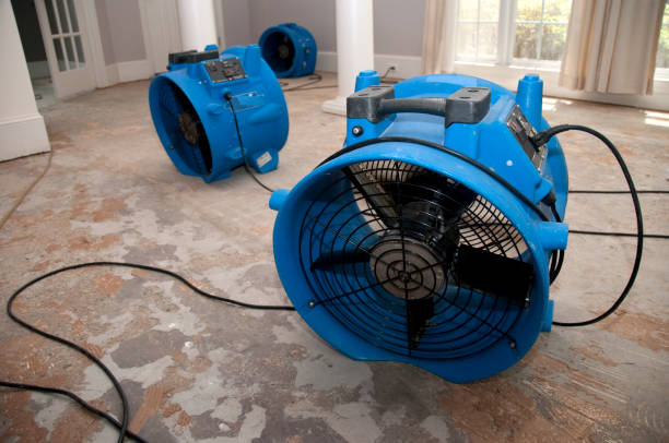 Best Mold removal after water damage  in Fruitridge Pocket, CA