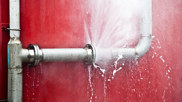 Best Ceiling water damage repair  in Fruitridge Pocket, CA